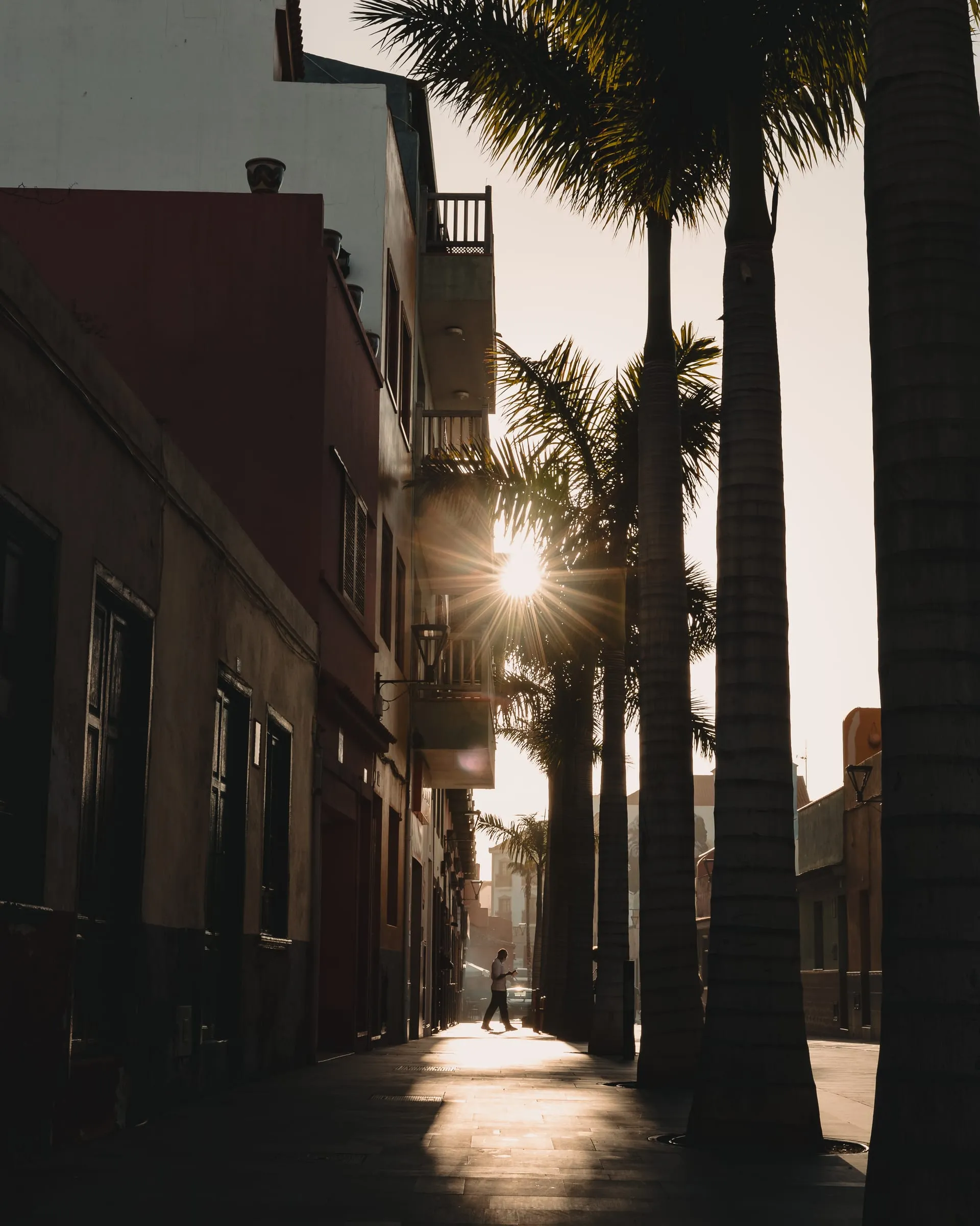 Photograph made in Puerto de la Cruz